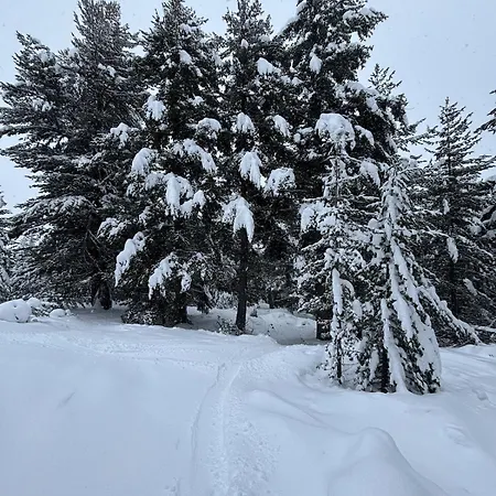 Apartment Pirin Sense Home2host *