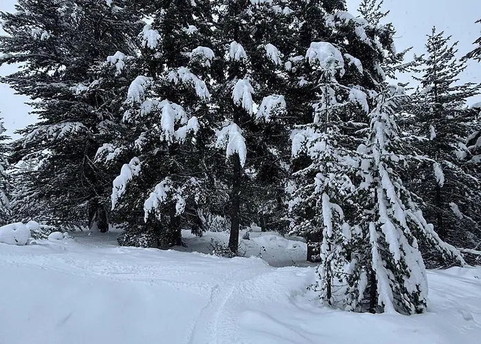 Apartment Pirin Sense Home2host *